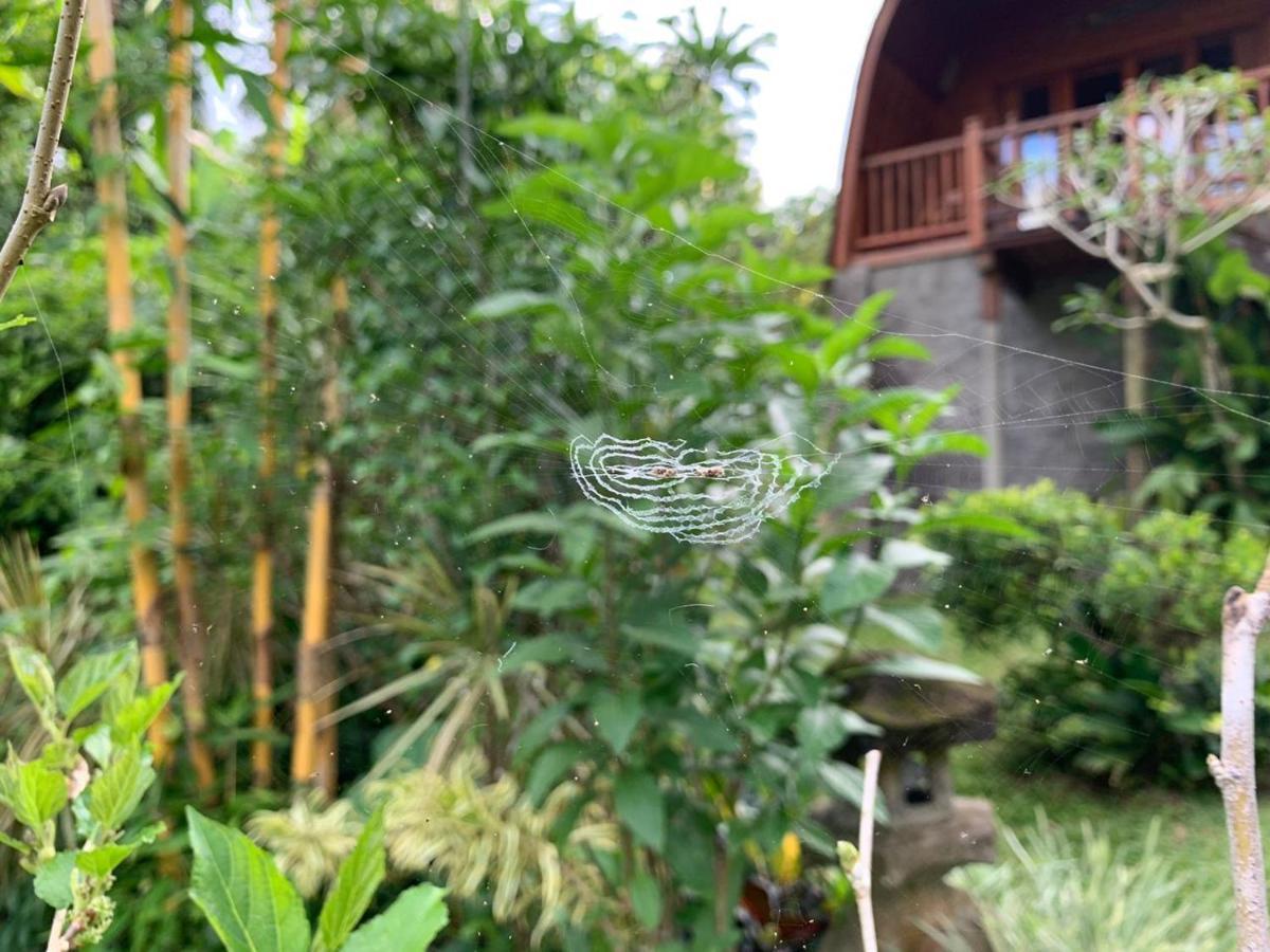 Sugita Wooden House Hotel Payangan Ngoại thất bức ảnh